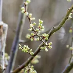 Zwischen Wald Und Meinerzhagen