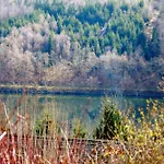 Zwischen Wald Und Meinerzhagen