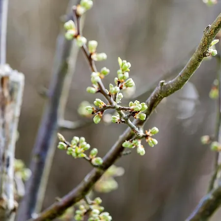 Zwischen Wald Und Appartamento Meinerzhagen