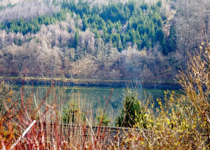 Zwischen Wald Und Meinerzhagen
